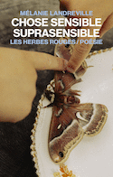 Chose sensible suprasensible