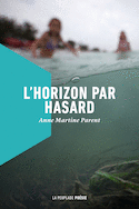 Horizon par hasard (L')